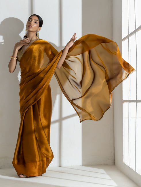 Brushed Bronze Organza Saree with Diamond Lace & Self Blouse Fabric