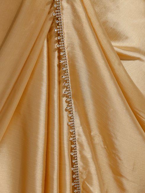 Pixie Dust Saree with Rainbow Lace and Self Blouse Fabric