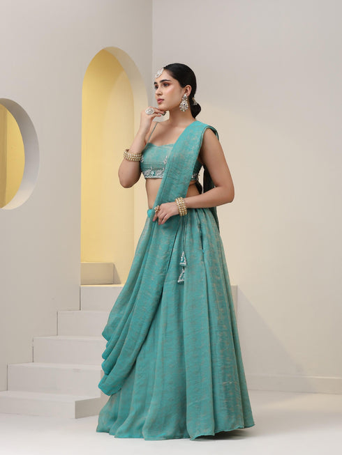 2 pc SET - Paris Woven Paisley Chiffon Skirt Saree with Pallu and Hand Embroidered Blouse Fabric