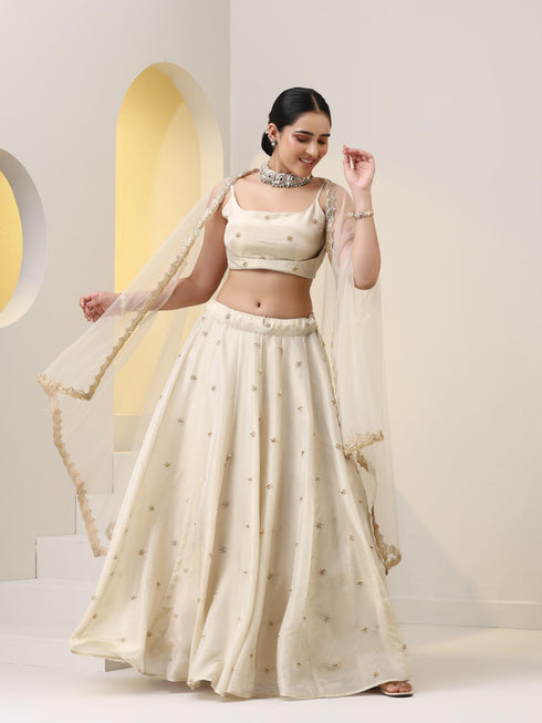 Enchanting Pure Silk Tissue Beaded Lehenga with Net Dupatta and Blouse Fabric