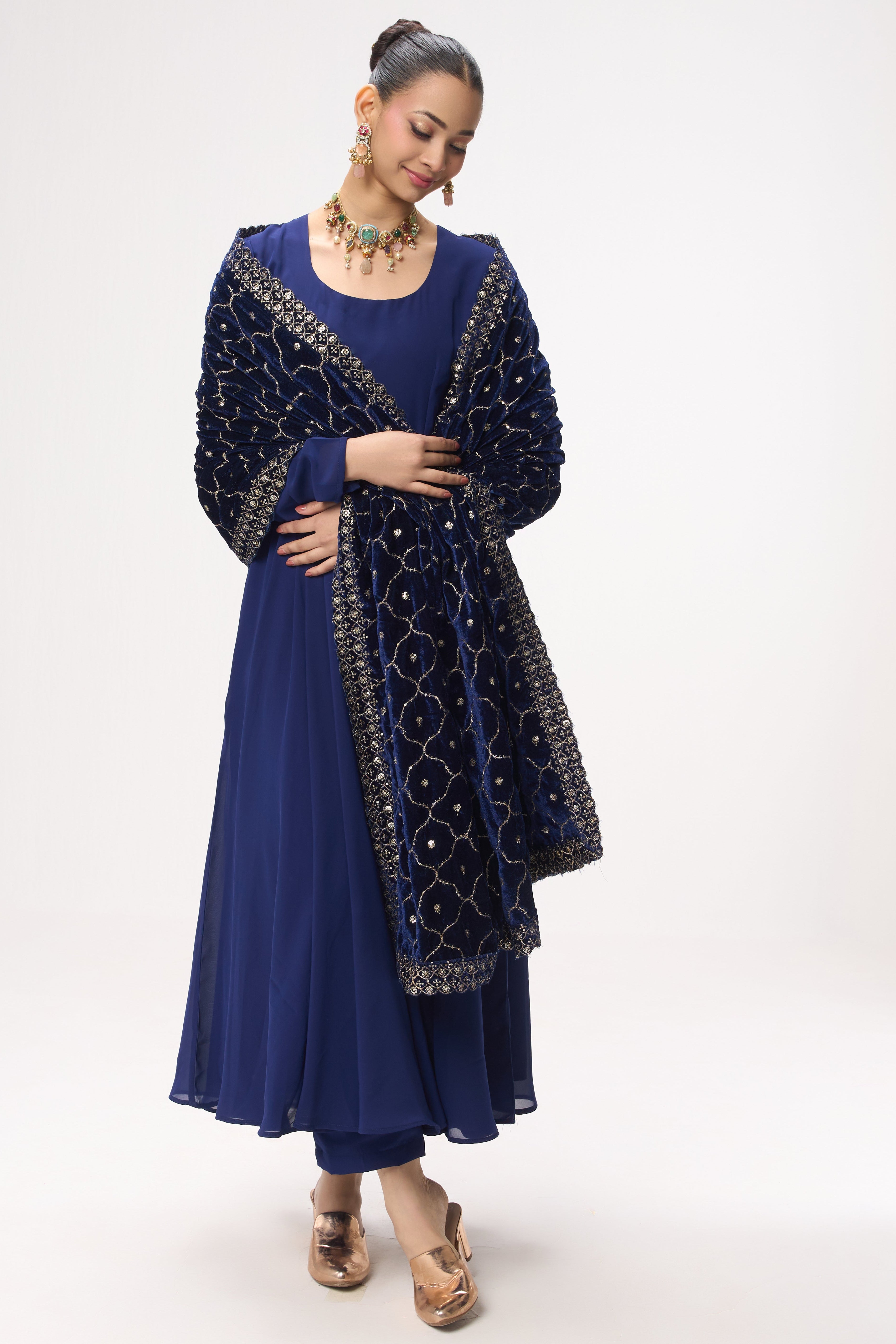 3 pc Suit Set - Blue Georgette Long Sleeve Anarkali Suit with Pants and Embrodiered Velvet Dupatta Shawl