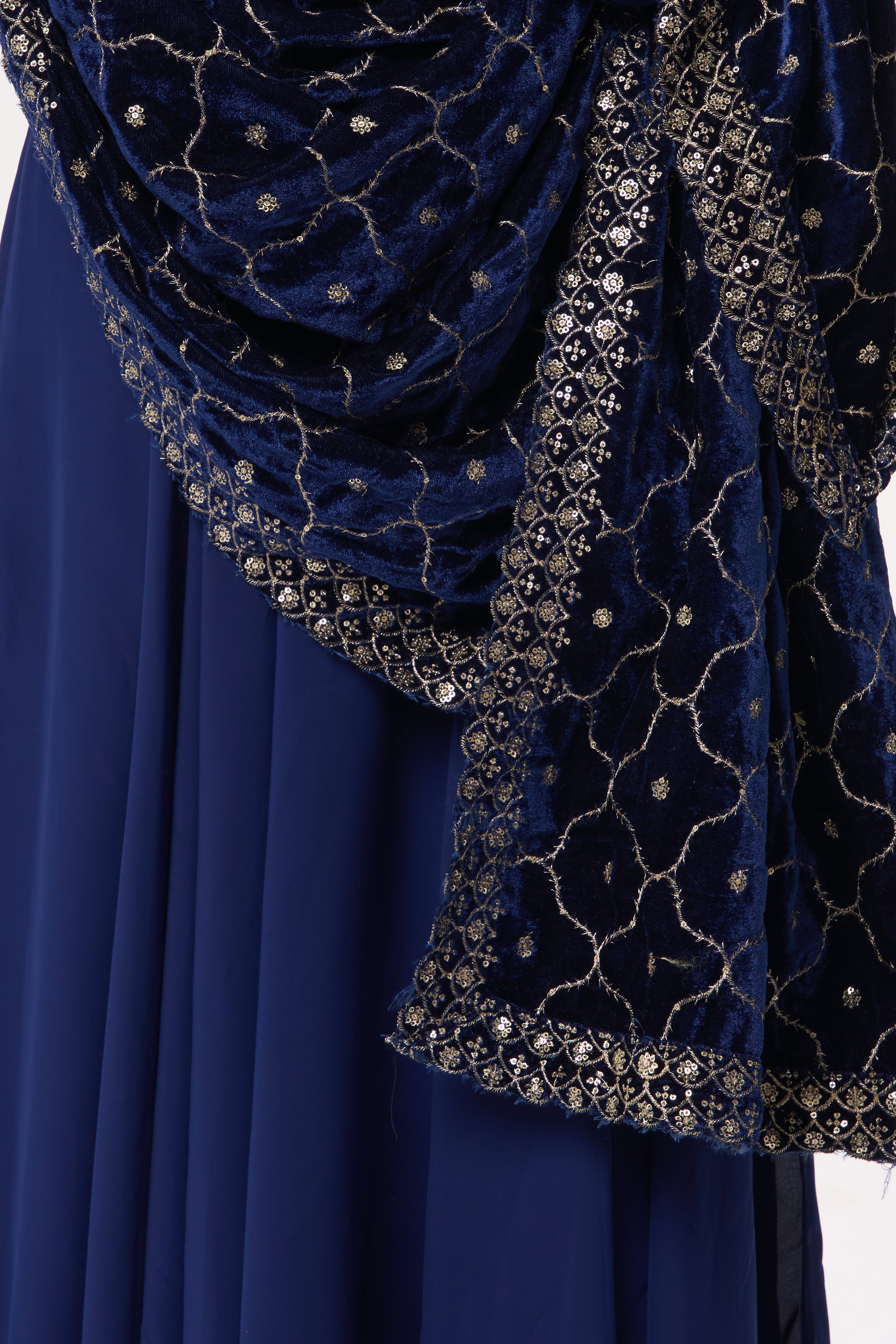 3 pc Suit Set - Blue Georgette Long Sleeve Anarkali Suit with Pants and Embrodiered Velvet Dupatta Shawl