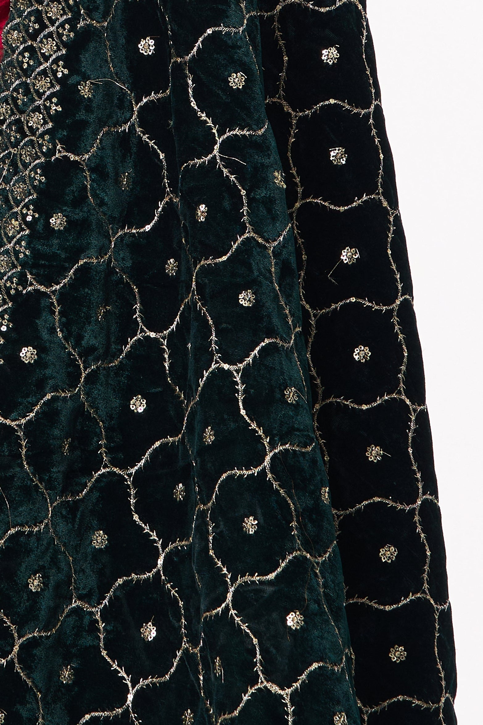 Green Jaal Embroidered Velvet Shawl