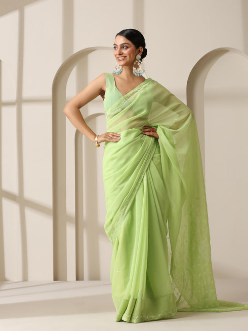 Light Green Rahet Hand Chikankari Saree with Blouse Fabric
