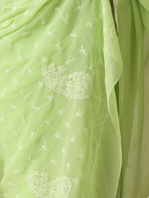 Light Green Rahet Hand Chikankari Saree with Blouse Fabric