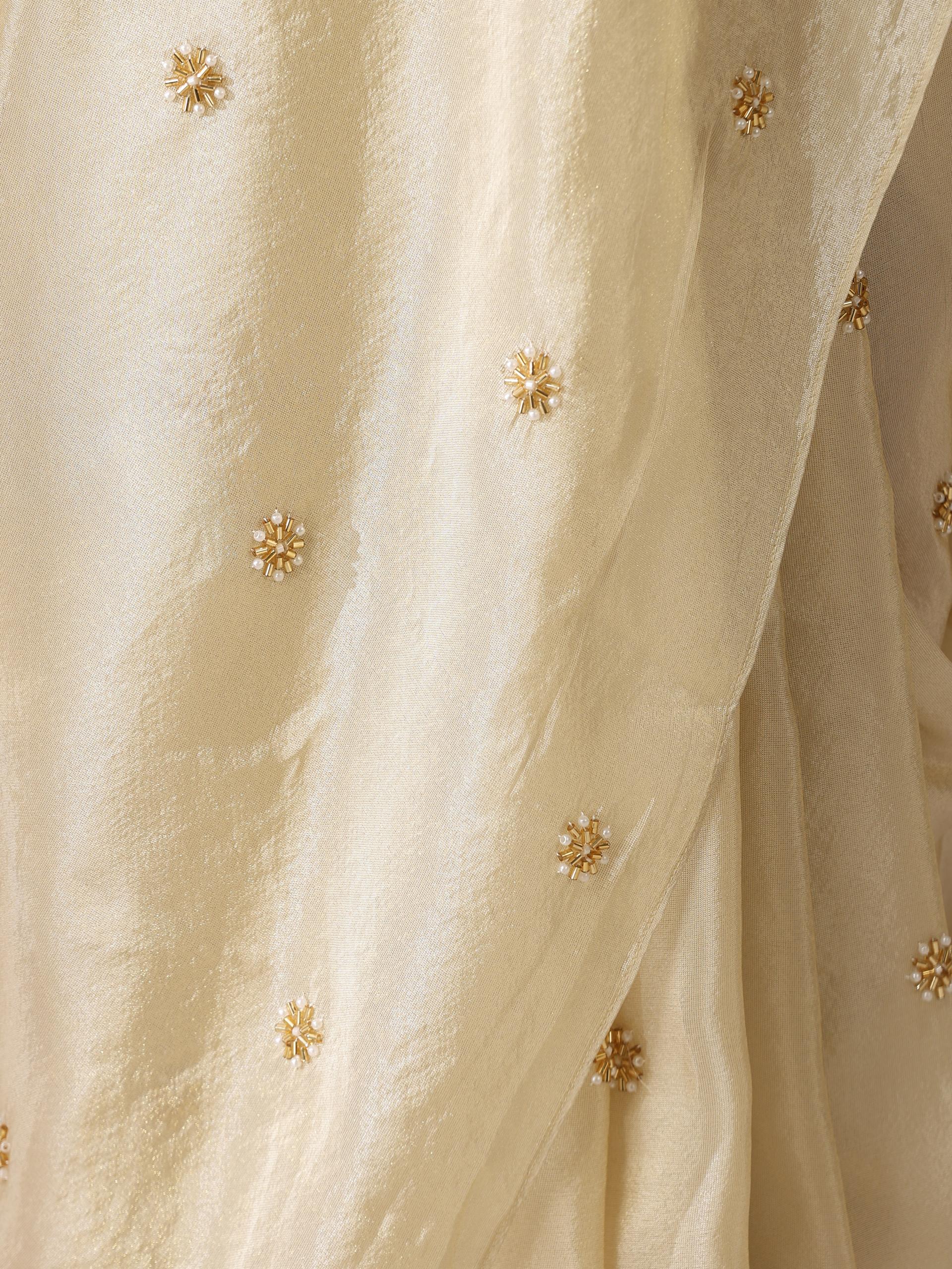Pure Tissue Hand Beaded Fully Embroidered Saree with Tissue Blouse