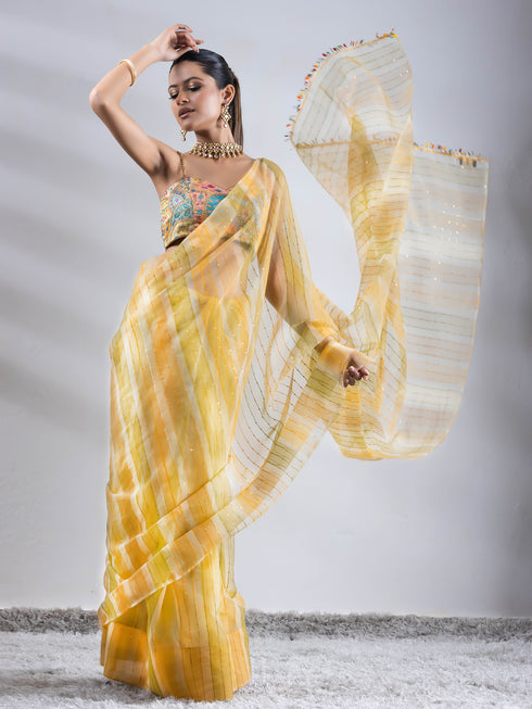 Hand Painted Green Yellow Sparkle Organza Saree with Lace & Blouse Fabric