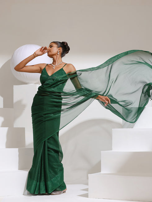Grass is Greener Chiffon Shimmer Saree with Beads and Blouse Fabric