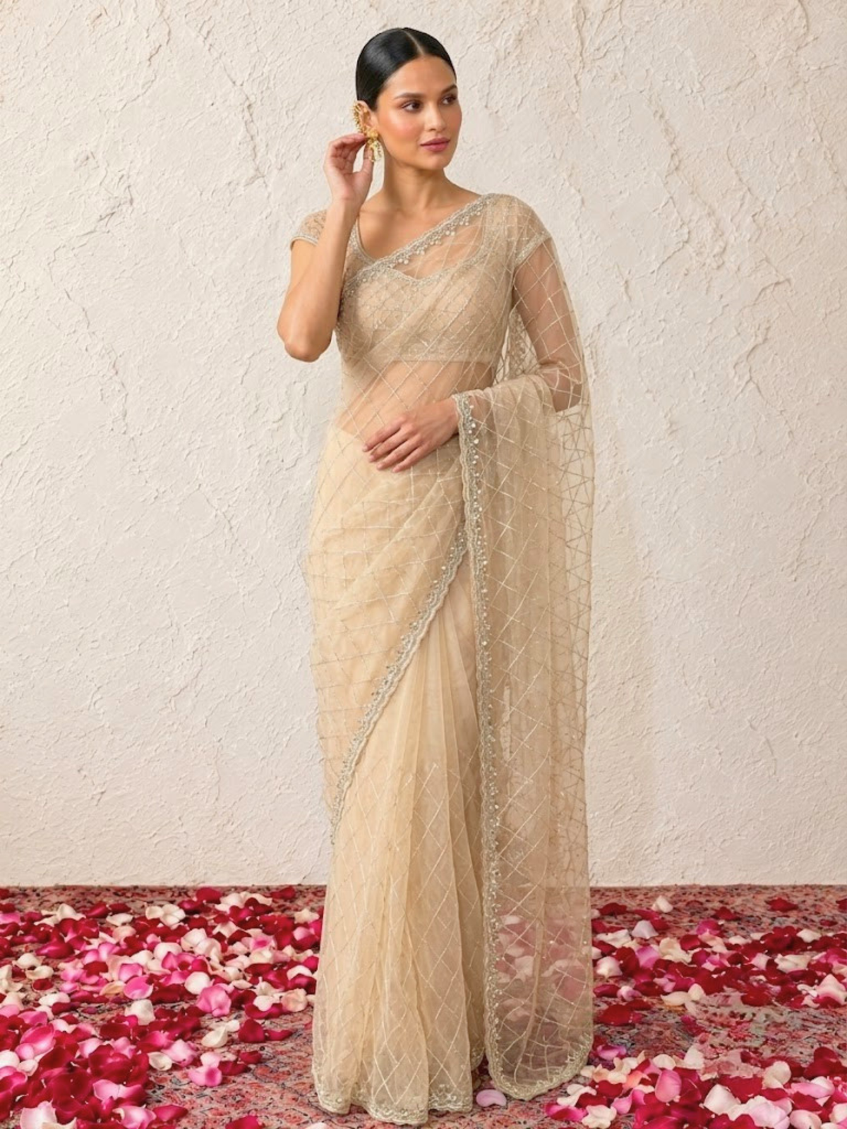 Beige Net Scalloped Hand Beaded Cut Dana Saree with Matching Beaded Blouse Fabric