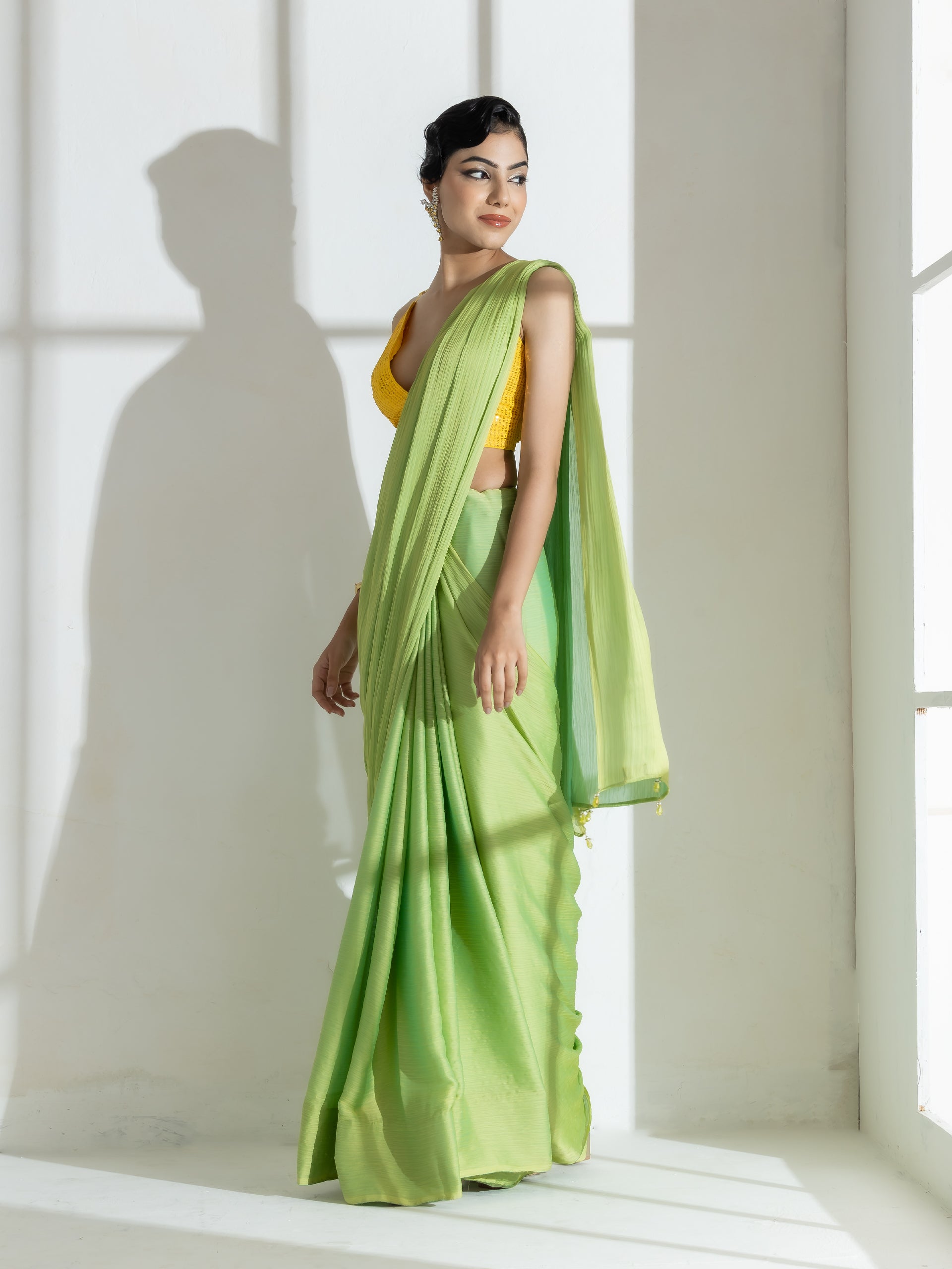 Lime and blue dual shade texture chiffon saree with beads — view 8