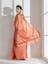 Glaze Silky Organza Saree with Rainbow Lace and Self Blouse Fabric