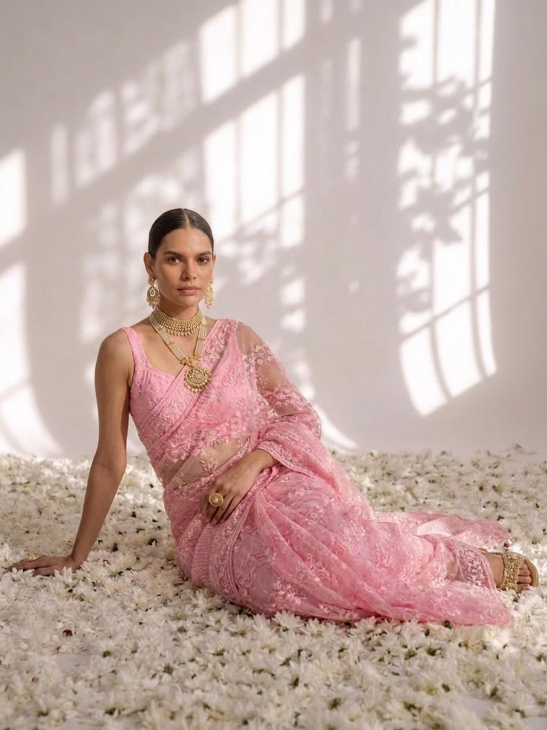 Blush Pink Stripe Lace Saree with Sequin and Blouse Fabric