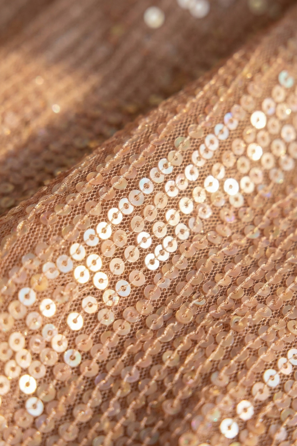 Bisque Cream Knitted Sequin Saree with Blouse Fabric