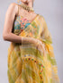 Hand Painted Green Yellow Sparkle Organza Saree with Lace & Blouse Fabric