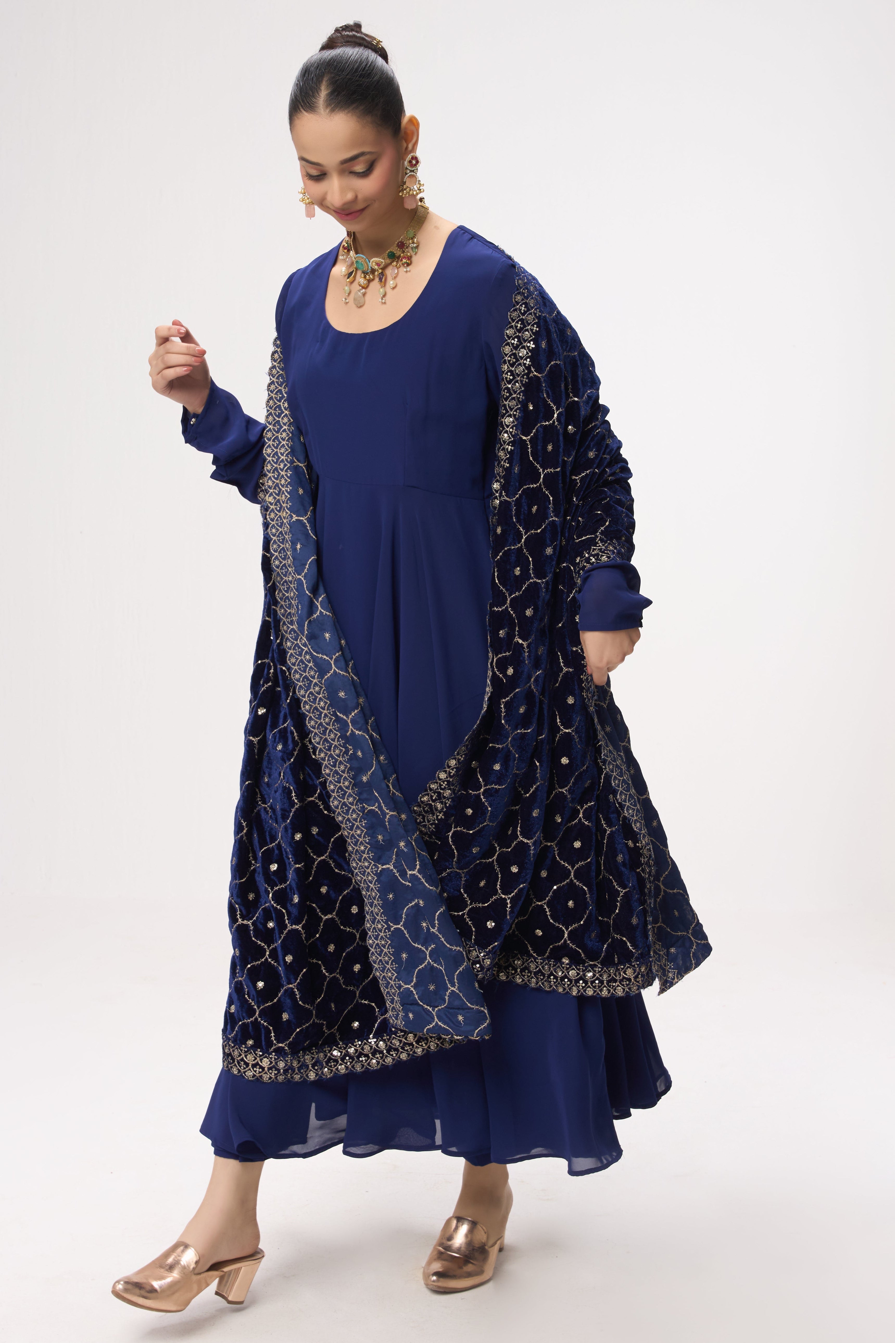 3 pc Suit Set - Blue Georgette Long Sleeve Anarkali Suit with Pants and Embrodiered Velvet Dupatta Shawl