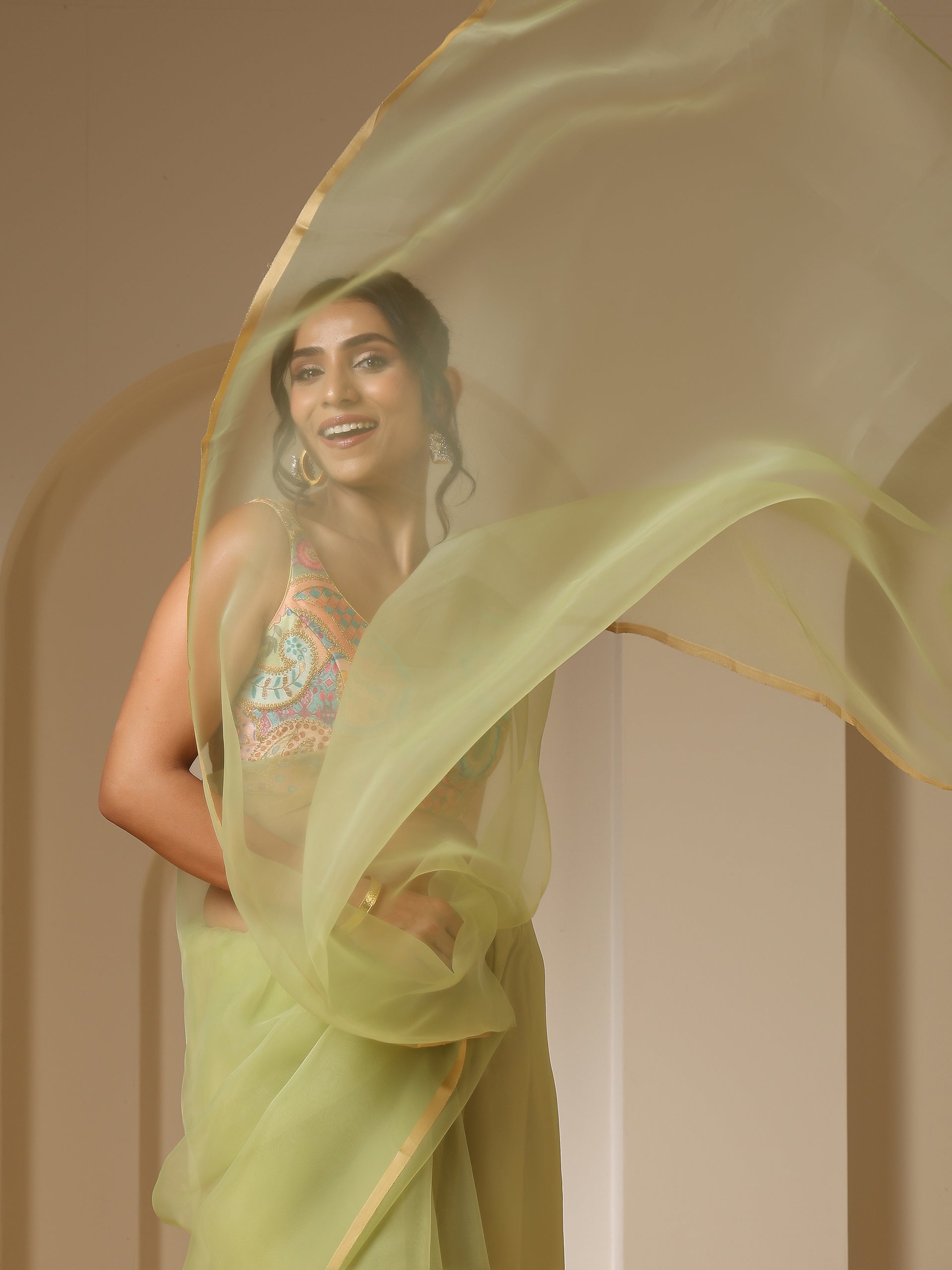 Sage Spirit Organza Cloud Saree