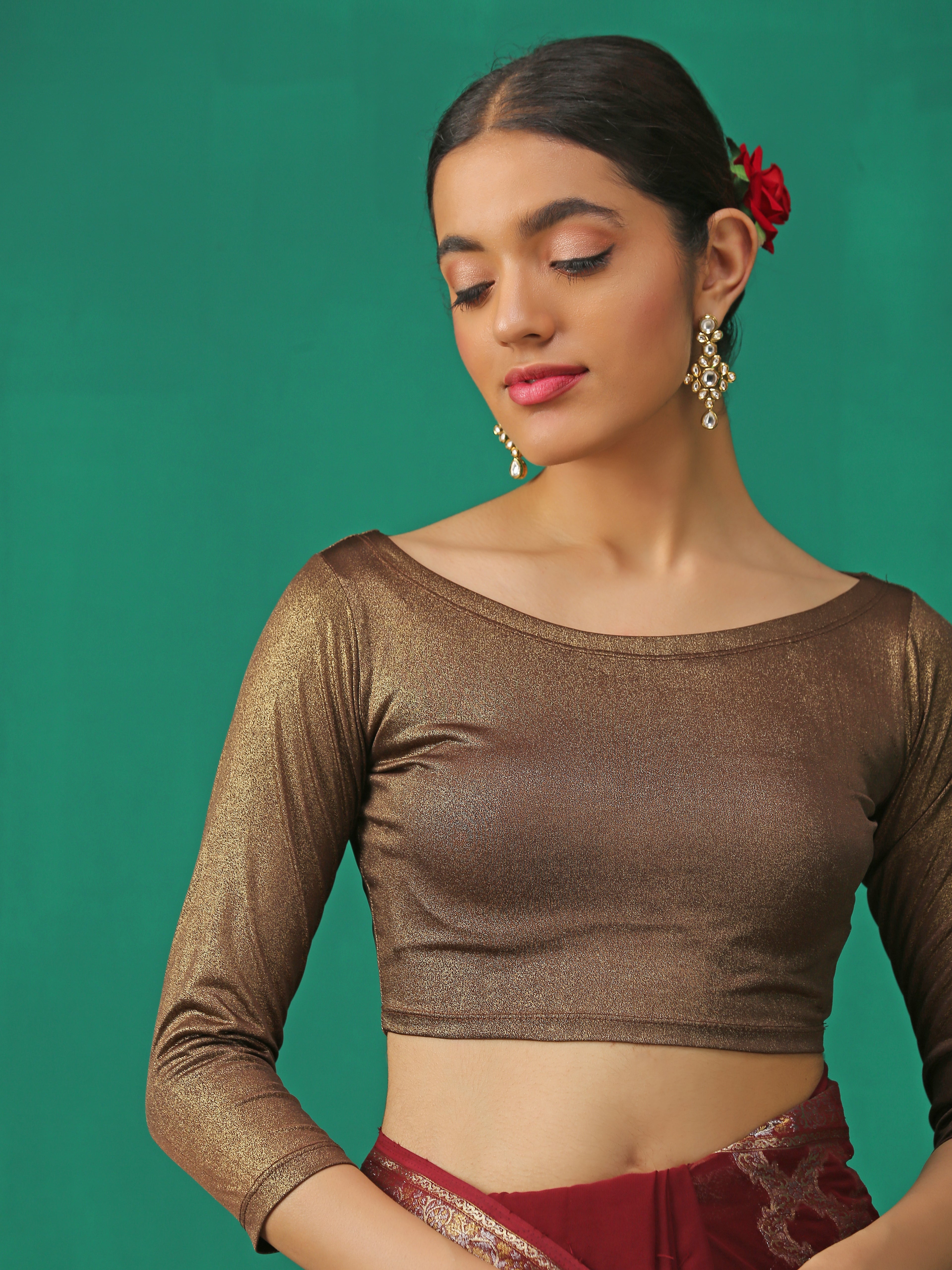 Cocoa Shine Stretchy Blouse