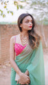 Sparking Henna Saree with Gold Sequins & Embellished Blouse