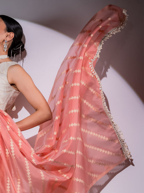 Chevron Pink Organza Saree with Cowrie Lace and Blouse Fabric