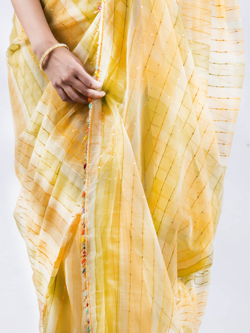 Hand Painted Green Yellow Sparkle Organza Saree with Lace & Blouse Fabric